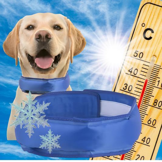 Collar Gel Refrescante – Perros & Gatos PACK X3